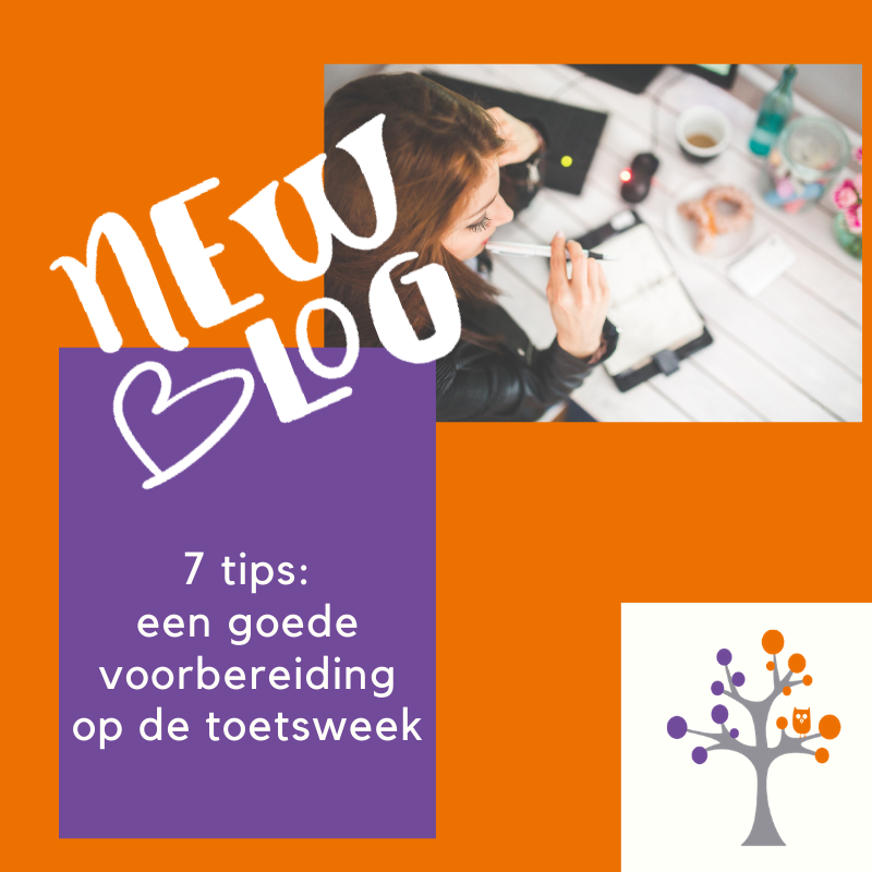 Een goede voorbereiding op de toetsweek: 7 tips - Praktijk Schoone Een Goede Voorbereiding Op De Toetsweek: 7 Tips - Praktijk Schoone